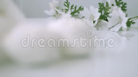 白色背景上的甜白棉花糖视频的预览图