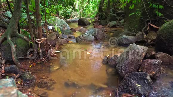 纯净的山河水流过岩石春天视频的预览图