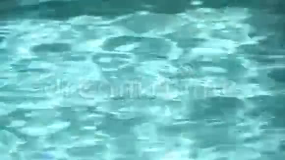 游泳池里的女孩视频的预览图