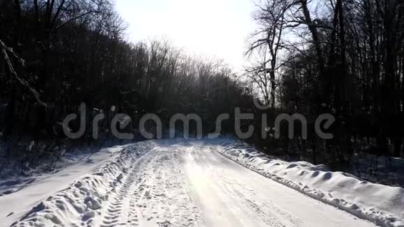 阳光明媚的一天在森林的雪道上镜头移动视频的预览图