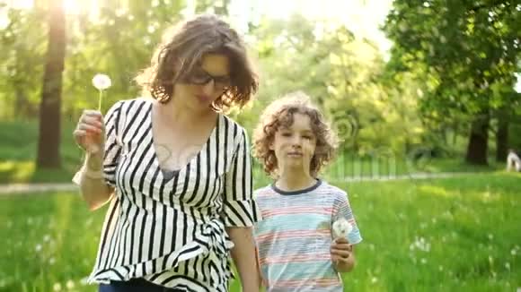 妈妈和儿子正沿着春天的森林散步牵着手它们携带蒲公英把种子吹走视频的预览图