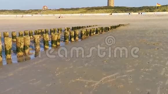 荷兰多姆堡海滩上的风化木杆视频的预览图