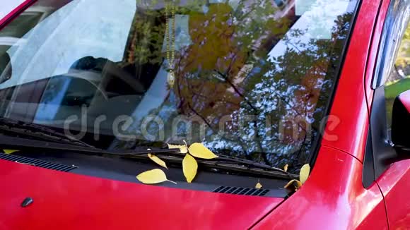 秋天的树映在红车的眼镜上黄叶落在车上视频的预览图