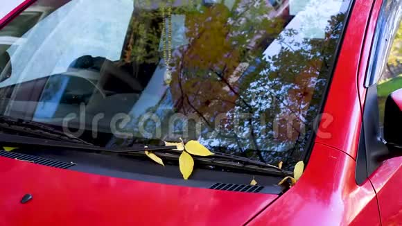 秋天的树映在红车的眼镜上黄叶落在车上视频的预览图