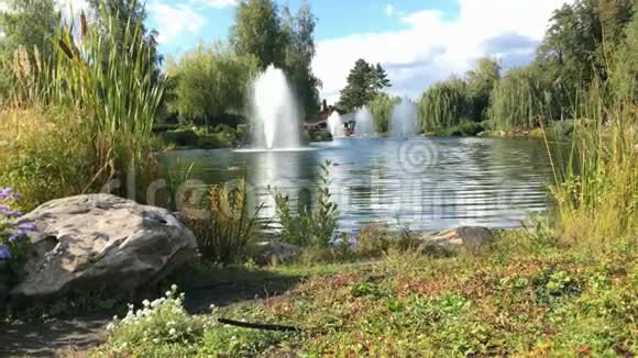 湖泊碎片在国家公园的梅日希里亚公园附近基辅视频的预览图