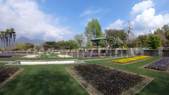 植物园维拉塔兰托意大利时间流逝4K视频的预览图
