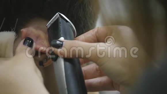 理发师理发女理发师通过剪发将女性发型慢动作视频的预览图