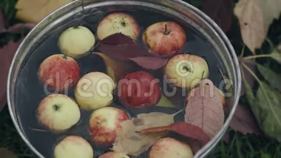 一桶装满水的红熟苹果视频的预览图