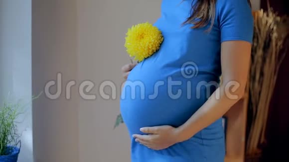 孕妇抱着她的肚子和花靠近窗户视频的预览图