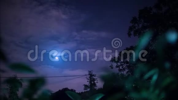 4夜晚满月在树与云之间升起葡萄牙视频的预览图