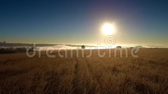 雾状的日出在田野上视频的预览图