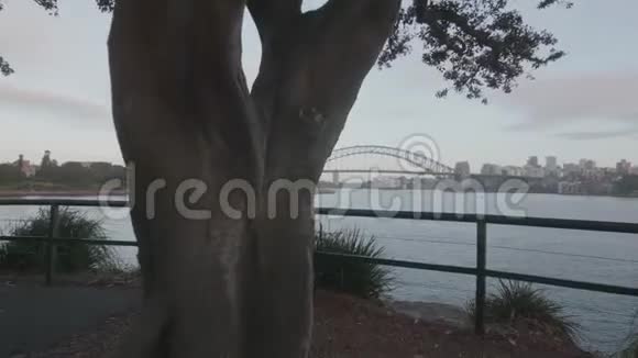 稳定的波夫步行镜头以揭示悉尼港视频的预览图