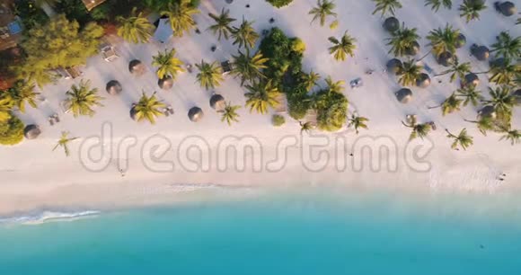 日落时在沙滩上观看海浪雨伞绿棕榈视频的预览图