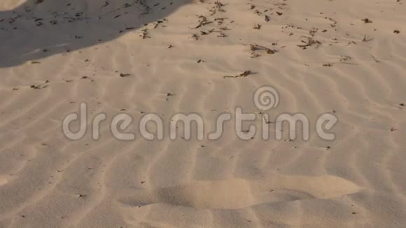 光脚男子走在沙漠沙滩特写男性在沙滩上的影子和足迹视频的预览图
