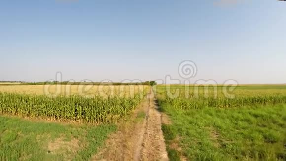 各种农作物的空中景观缓缓地在乡间小路的上方前进田野的前景记录在4k视频的预览图