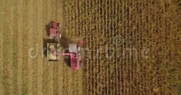 4K航拍片初秋联合收割玉米的鸟瞰图视频的预览图