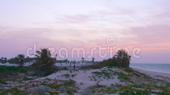 令人惊叹的粉红色天空傍晚日落在阿拉伯城市的海滩背景放大视频的预览图