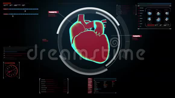 扫描心脏人类心血管系统医疗技术视频的预览图