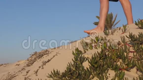 男性旅行者赤脚从沙丘上下来视频的预览图