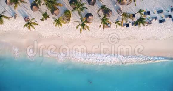 日落时在沙滩上观看海浪雨伞绿棕榈视频的预览图