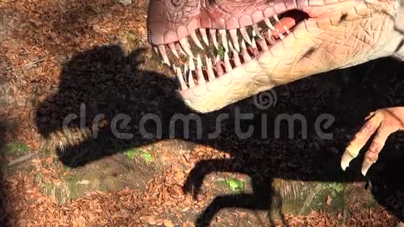 稀缺恐龙剪影视频的预览图