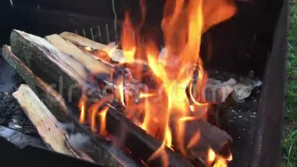 户外烧烤烧柴火视频的预览图