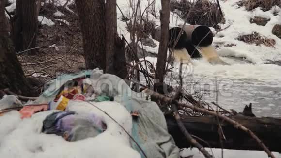 春天森林里的有机和塑料垃圾生态灾难环境破坏视频的预览图