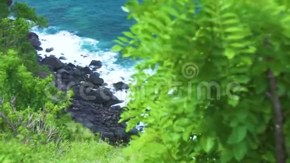 在绿色植物背景下海浪飞溅到岩石海滩汹涌的海浪以泡沫和视频的预览图