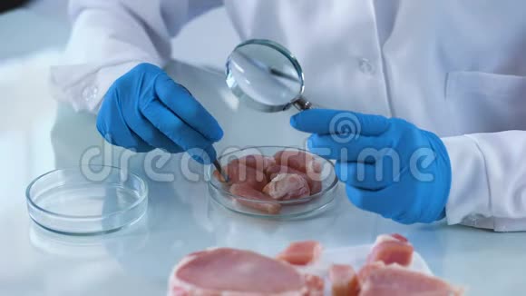 实验室工作人员分析肉类样品放大镜细菌风险认证视频的预览图