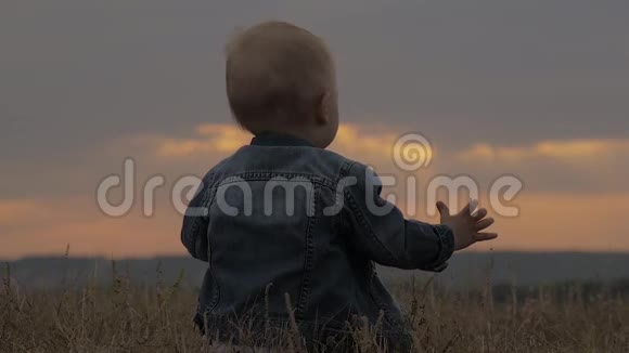 可爱的蹒跚学步的男孩坐在夕阳下的草地上视频的预览图