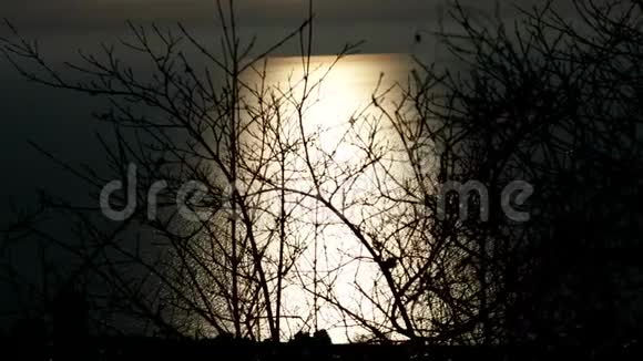 广阔的月球路径月亮在冬天的森林滑翔视频的预览图