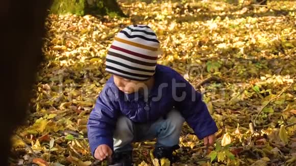 秋天森林里一个震惊的男孩慢镜头然后微笑视频的预览图