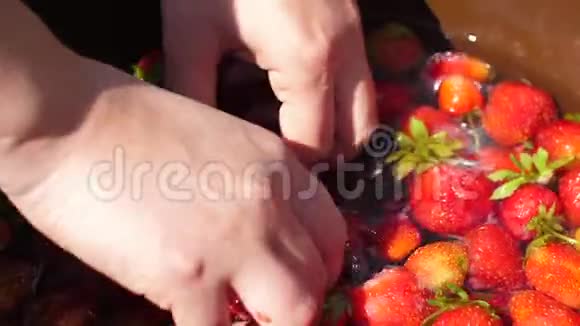 女人用手在水中洗鲜摘红草莓视频的预览图