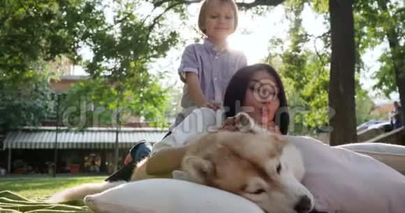 家庭和宠物年轻的母子和哈士奇狗在公园里微笑视频的预览图