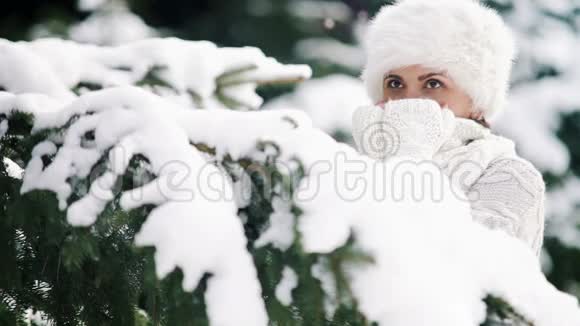 穿着微笑的毛皮帽子迷人的女性在森林中云杉树枝后面享受着寒冷的天气视频的预览图