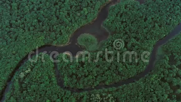 用河流和湖泊鸟瞰森林视频的预览图