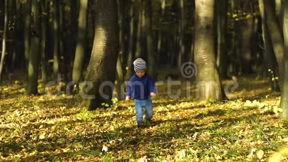 可爱的小男孩跑过公园里的秋天小巷慢动作视频的预览图