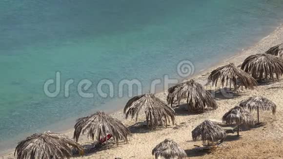 海滩草伞上面覆盖着干棕榈叶和绿松石海视频的预览图