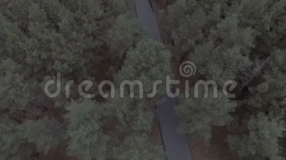 飞越公园里的树木飞越马路上的汽车柏油路松树视频的预览图