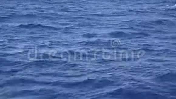 在蓝水上航行大海很容易挥动视频的预览图