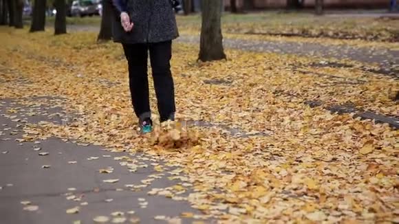 女子双脚行走于秋季公园视频的预览图