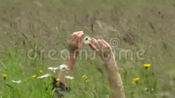 女人的手在草地上玩一朵雏菊视频的预览图