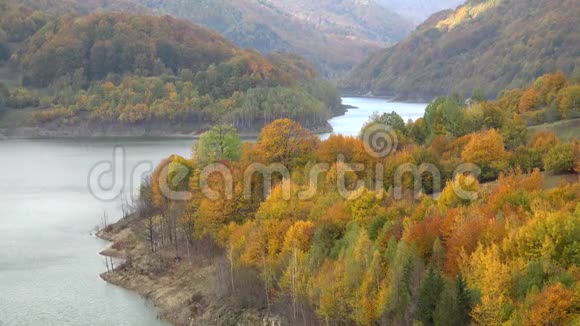 色彩斑斓的秋树和清新的山河美丽的风景视频的预览图