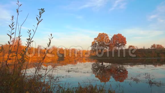 美丽的秋天夕阳越过森林平静的湖面视频的预览图
