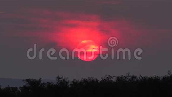 红碟太阳落在山上日落的云和树后时间倒转视频的预览图