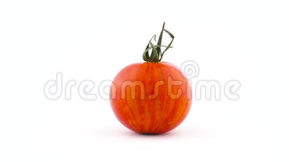 一整个红地球条纹番茄在白色背景上隔离的转盘上旋转宏观的视频的预览图