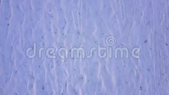 空中无人机射击日落时分摄像机俯视热带沙滩迅速飞过热带温暖的夏天视频的预览图