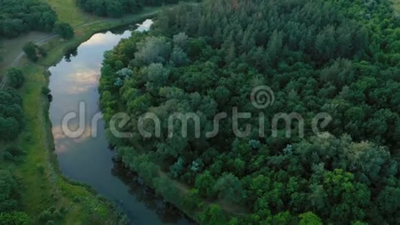用河流和湖泊鸟瞰森林视频的预览图