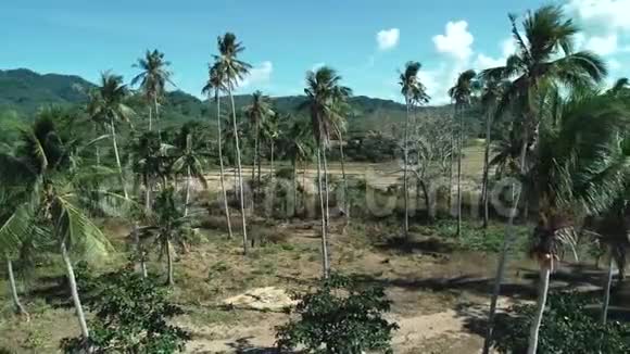 阳光明媚的夏天空中无人机在美丽的热带岛屿上拍摄椰子棕榈树视频的预览图