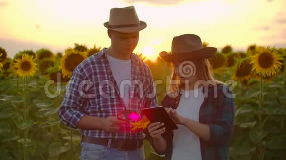 两个农民在大自然中的向日葵视频的预览图